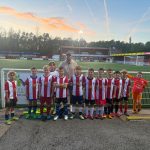 ilkeston-town-sponsorship-norse-homes